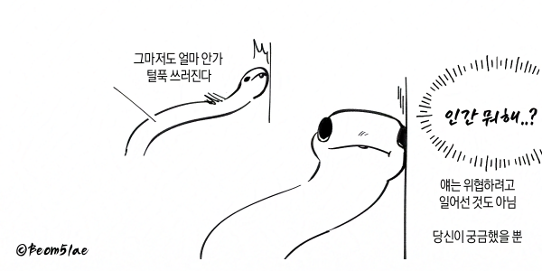 Beom5lae's tweet photo. 뱀이 스코핑 한다는 거 들어보셨나요 https://t.co/wwHFUZqD7X