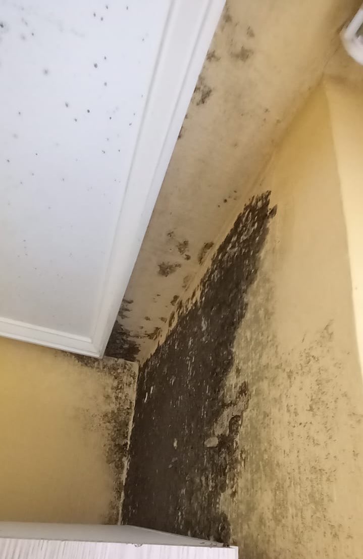 theerealandyy's tweet photo. Estas humedades teníamos en un piso. El casero se desentendió diciendo que era culpa nuestra porque según él no ventilábamos. Por contrato estaba estipulado que podíamos dejar de pagar al no ser habitable mediante un peritaje. Él en ningún momento quiso llamar a uno y se negó + https://t.co/W8KOG4NxHP