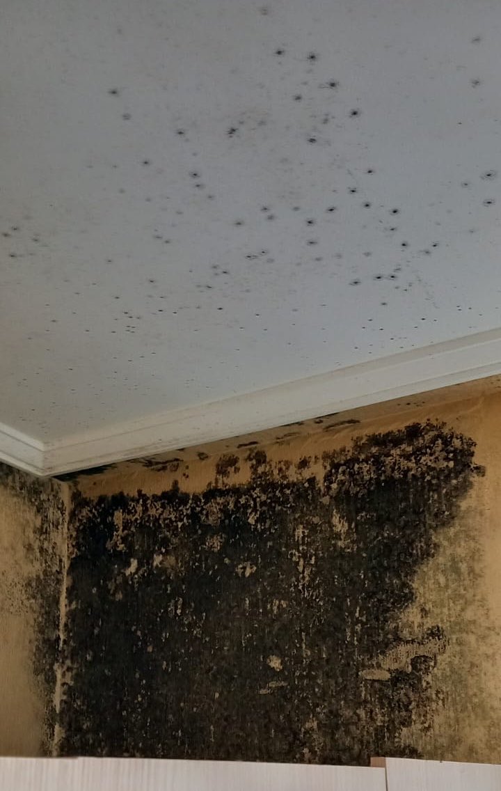 theerealandyy's tweet photo. Estas humedades teníamos en un piso. El casero se desentendió diciendo que era culpa nuestra porque según él no ventilábamos. Por contrato estaba estipulado que podíamos dejar de pagar al no ser habitable mediante un peritaje. Él en ningún momento quiso llamar a uno y se negó + https://t.co/W8KOG4NxHP