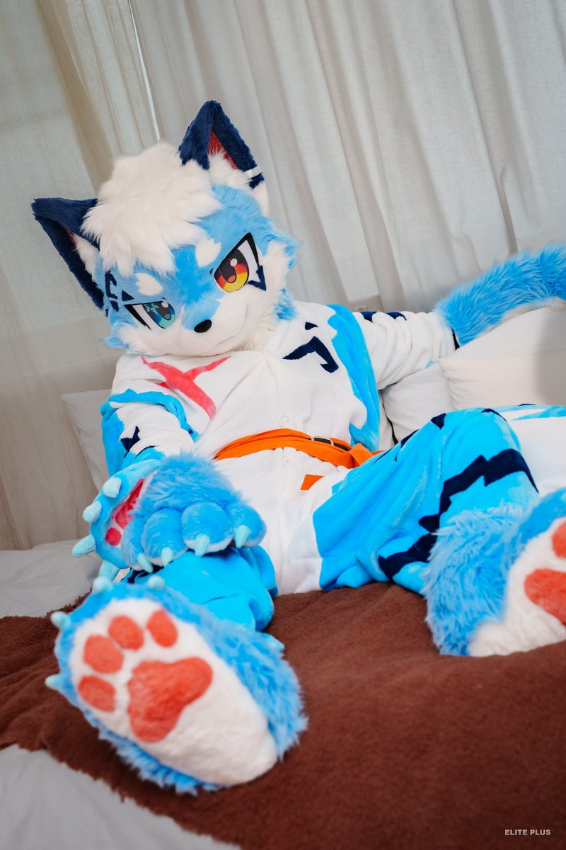simo22722's tweet photo. #furmony 
#FursuitEverday https://t.co/9lefRebYRb