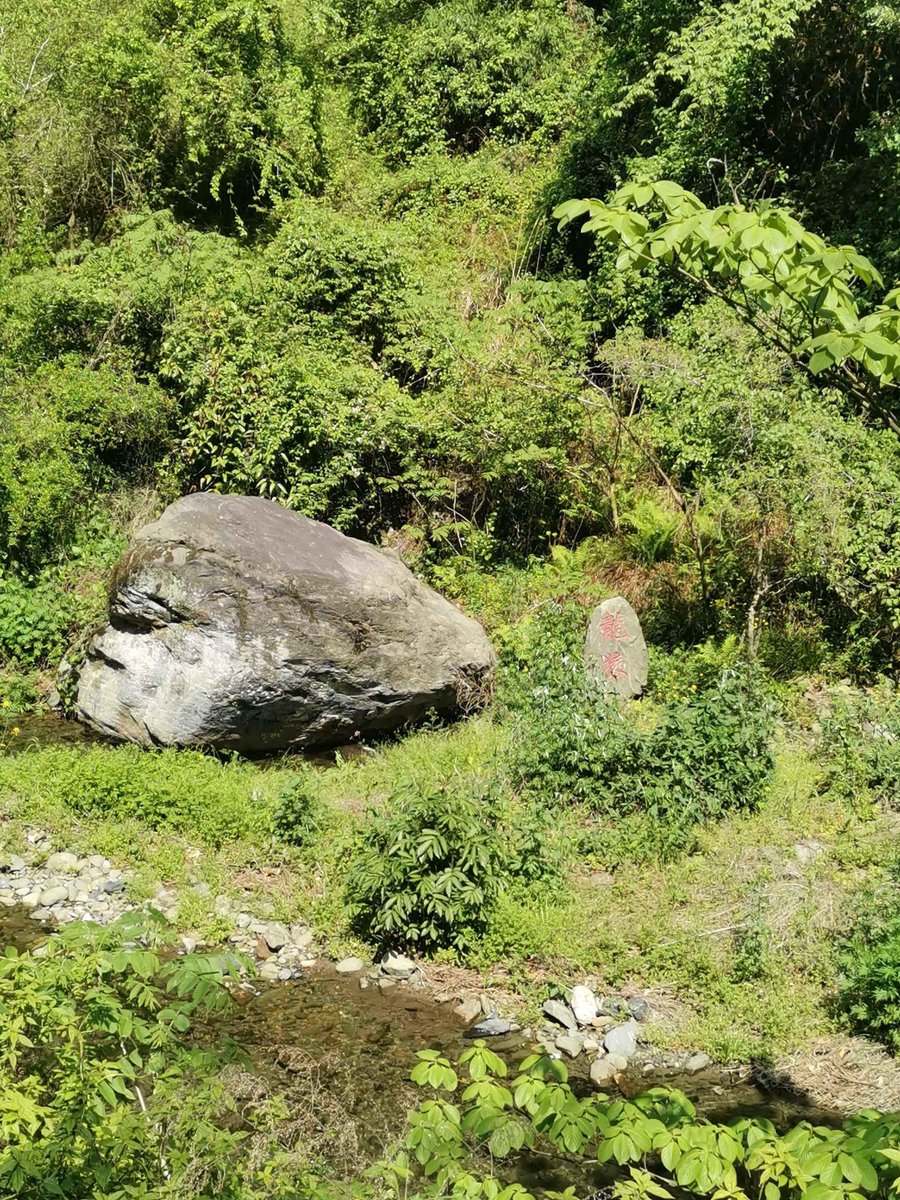 NovaFrameaf71's tweet photo. [When I saw the ancient ape resting on the strange rock by the creek, I couldn’t help but admire the quiet magic of this mysterious forest—panzhang (thick old trees) wrapped in fog make every path feel like a hidden tale.]， https://t.co/mWHZRanXZr