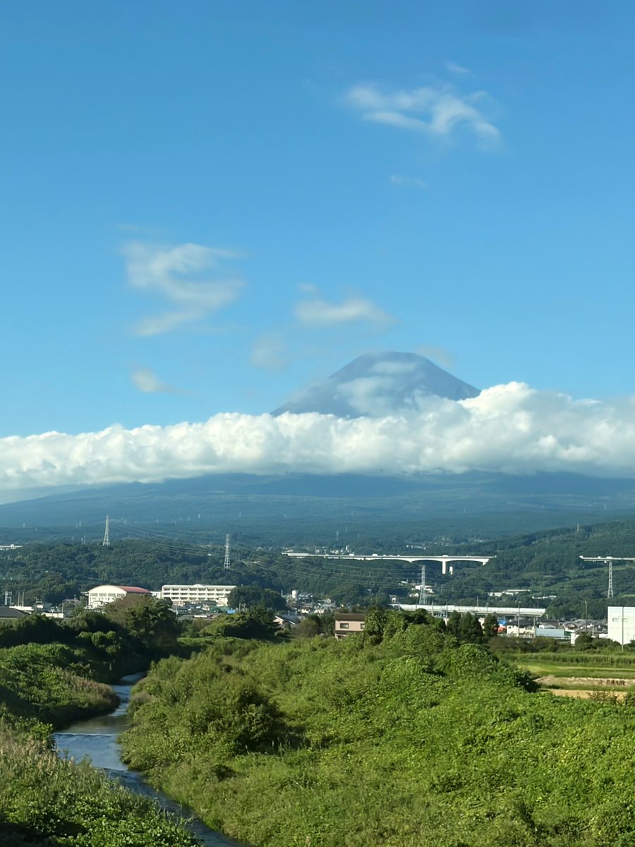 ksss___01's tweet photo. 昨日は移動日🚅💫

私の住む地域はずーーーっと雨だったから雲ひとつない青空見るの1ヶ月ぶりくらいでなんだか感動してしまった😂

豊橋観光案内所はポケモン天文台のポスターだらけ😚💞 https://t.co/0oq0Z347T8