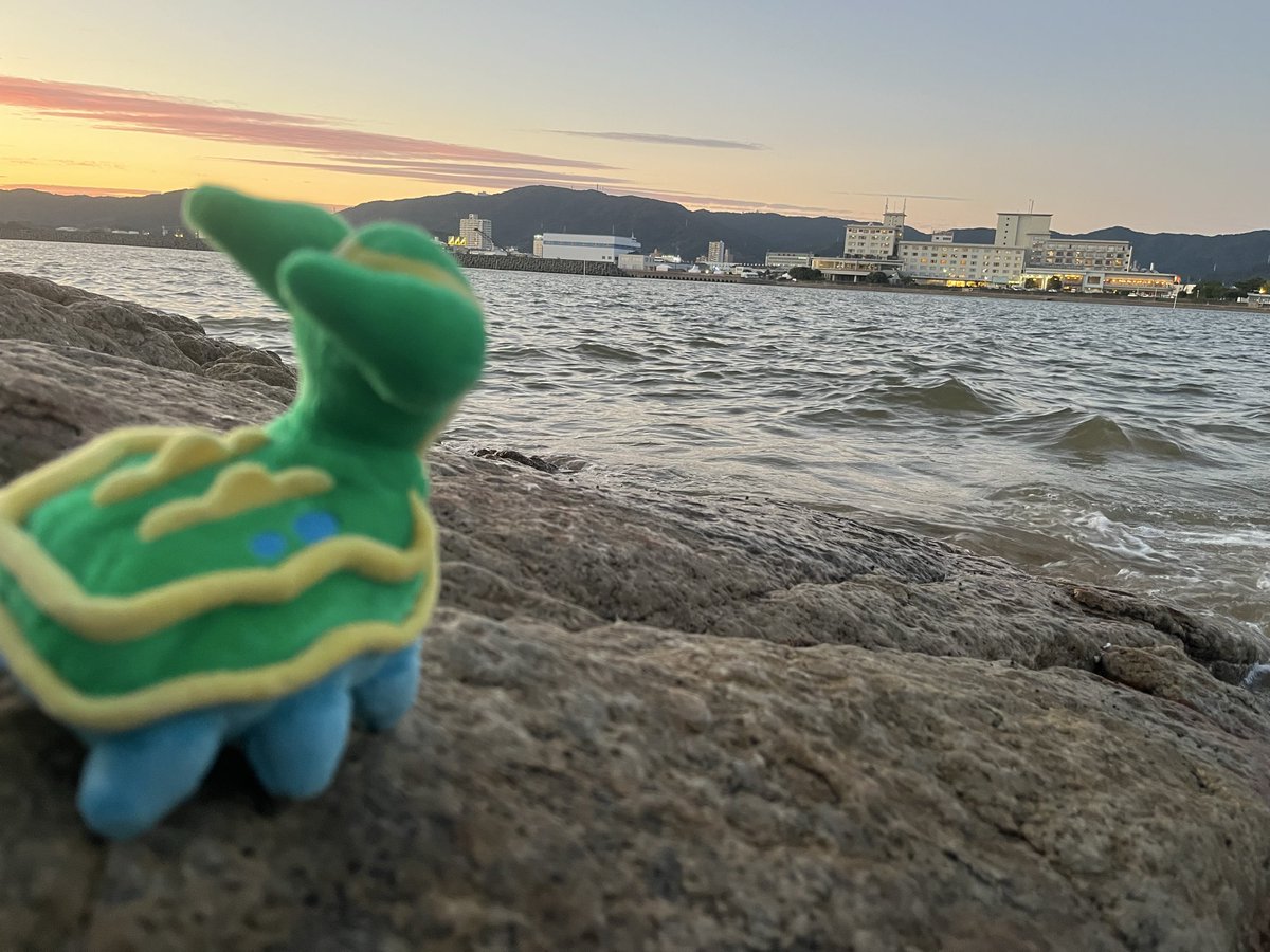 jj3juj's tweet photo. 竹島に行きました https://t.co/ry2J4wWAJp
