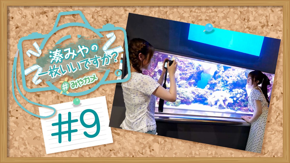 3710miyacame's tweet photo. 本日23時より『湊みやの一枚いいですか？』#9 ＜福岡編＞【ゲスト：川村玲奈】の配信を開始いたします。
マリンワールド海の中道は今回がラストです！

YouTube https://t.co/CZwEgjuS3g
ニコニコ https://t.co/fJws2wQhjG
#みやカメ https://t.co/NK0PboWdBE