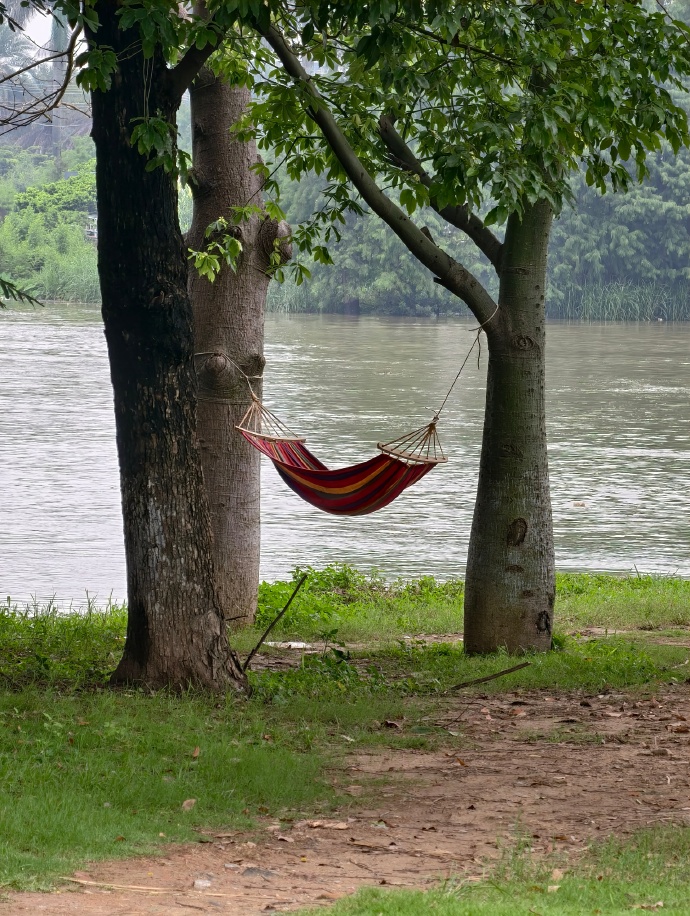 LoriPerryow95's tweet photo. Recently, I walked by the basket stand beside Wei River, leaning on the old willow—so cozy! https://t.co/0NycSEjNSW