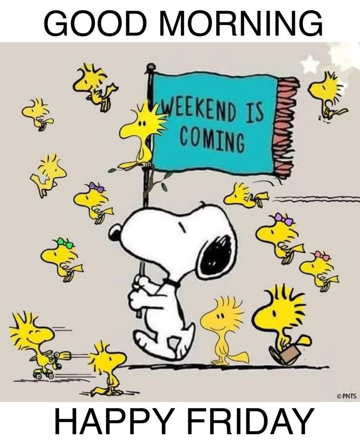 WhoDatNayshon's tweet photo. Have a fantastic day! #FridayMorning #FreestyleFriday #FridayFeeling #FridayVibes https://t.co/XH6SWBfiay