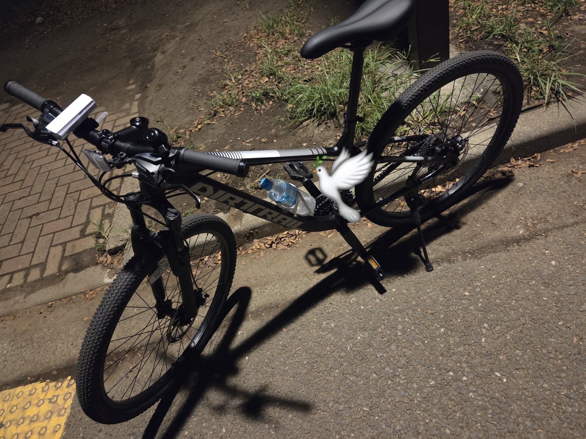 Rey_unknown0's tweet photo. とある都内の公園まで往復30km走ってきた https://t.co/xGkmYdV5Ao