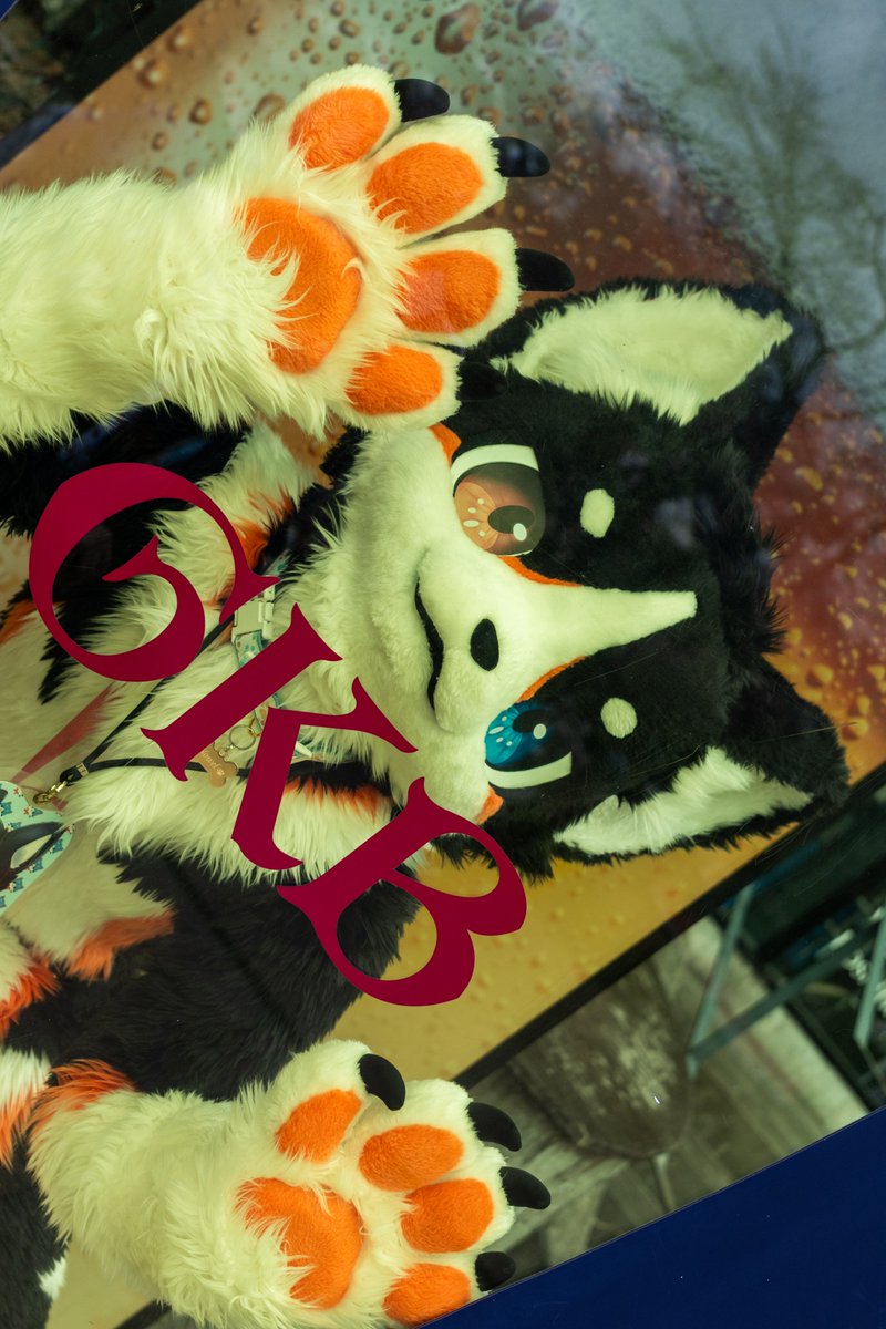 Nowel0725's tweet photo. #FursuitFriday https://t.co/hzN1O0yUdM
