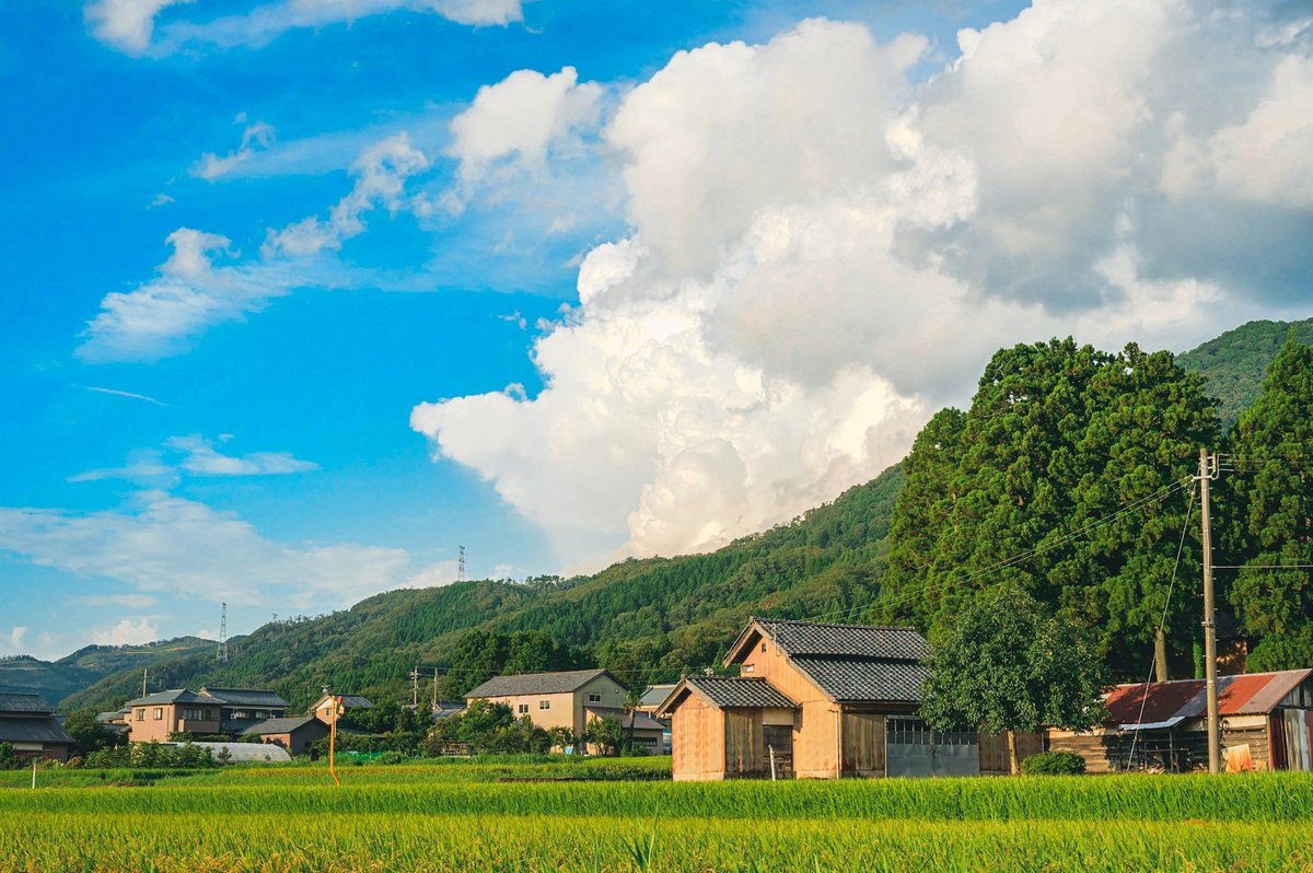 gyunpack's tweet photo. [神奈中 町田(営) 鶴川駅❲直行❳野津田公園(町田Gスタ) シャトルバス運行]
実施日 明日3日(土)
サッカー ヤマザキルヴァンC 4回戦
16：00KO
FC町田ゼルビア VS 京都サンガFC
当日下り鶴川駅発13：00以降、上り野津田公園発終了後随時
続く https://t.co/NCSo867efx