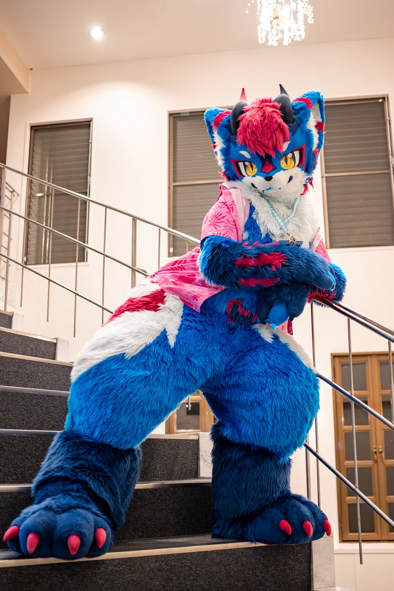 hakumei_895_'s tweet photo. へい！そこのおにーさん！どこへ行くの？はくめいちゃんも連れてって？

#FursuitFriday https://t.co/Lw7hrBcOcu