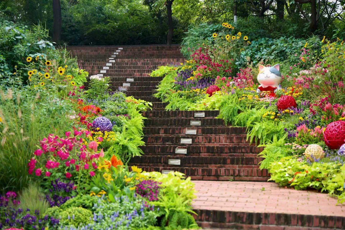 BeijingEvening's tweet photo. 亮出绝活了！北京各大公园花坛争奇斗艳
This National Day holiday, crowds flocked to Beijing's parks, where dazzling flower beds put on a spectacular show — quickly becoming the city's hottest photo spots.
#BeijingParks #NationalDay #BeijingTravel https://t.co/aEY3r5zsIY