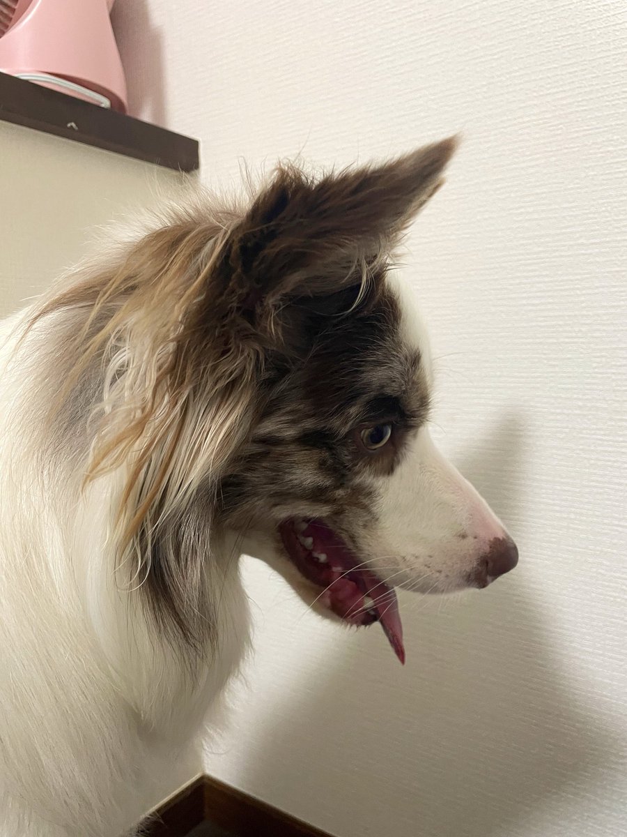 ryla_chocomarl's tweet photo. 影が気になる https://t.co/HYNciMSF4z