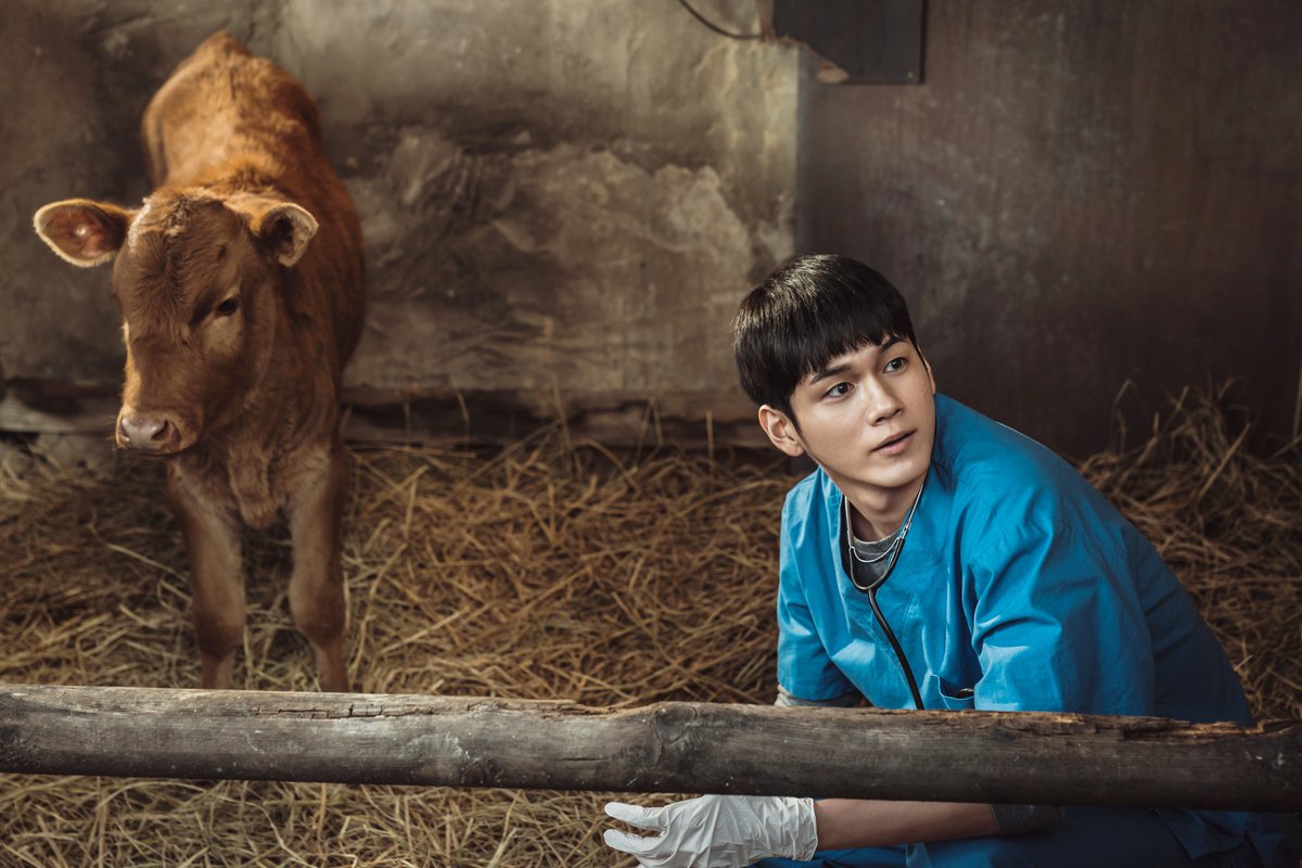 lotte_ent's tweet photo. 원수 같은 형제가 뭉쳤다?!
그것도 송아지 때문에 🐂

류승룡 x 박해준 x 옹성우
<정가네> 퍼스트 스틸 공개!

12월 2일 극장 대개봉 https://t.co/nkrzQw3Hjb