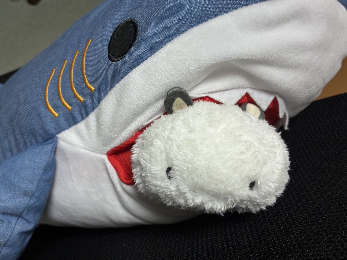shiruMONo_42's tweet photo. FUSHI届いた 
#超かぐや姫 https://t.co/MTnNQmspU7