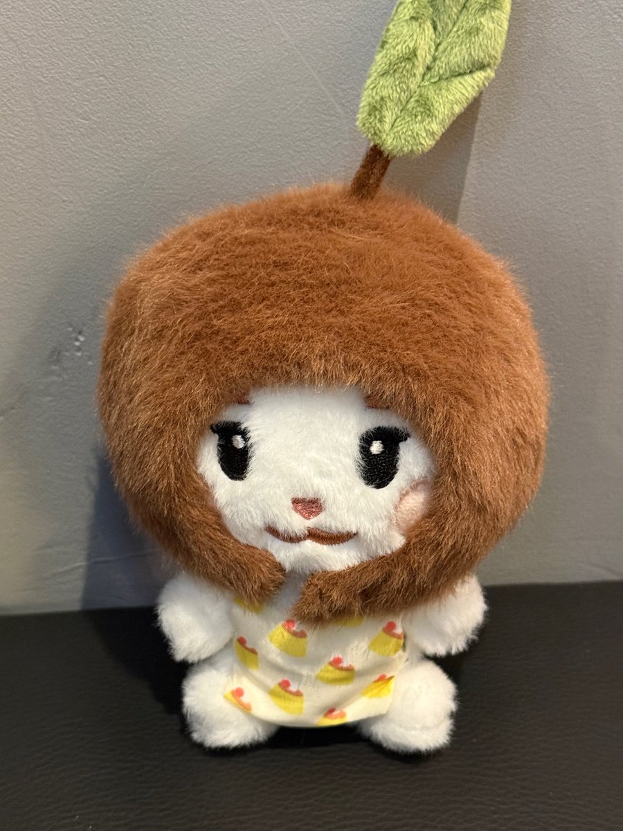 ddu1002's tweet photo. 햄쫀쿠🧆🧆🧆 https://t.co/5YGz3Kh1Oj
