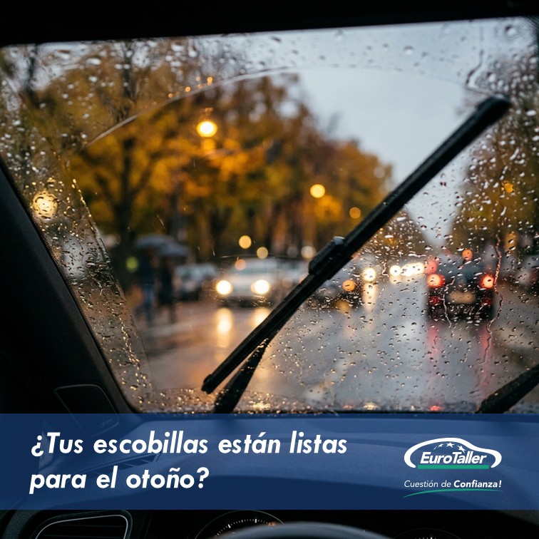 EUROTALLER's tweet photo. 🌧️ ¿Rayas y chirridos? Tus escobillas piden relevo
Mira cuándo cambiarlas 👉 https://t.co/m9gmPGCMaC
#EuroTaller #Escobillas #SeguridadVial #Parabrisas #Otoño https://t.co/LWy7699xpe