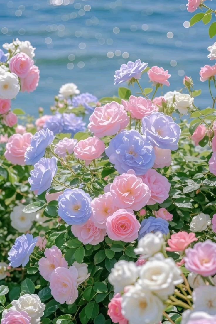 tag_nine's tweet photo. #بدايـــــــــــــــہ https://t.co/9Rsqdft3bh