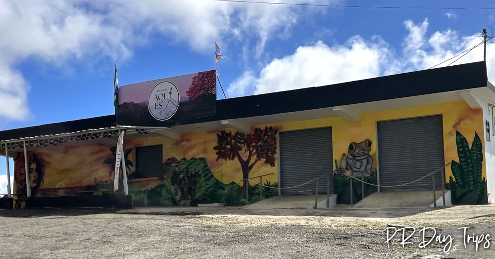 PRDayTrips's tweet photo. Good Morning from #PuertoRico - Cute Mural On Bar Up In The Mountains #estaesmiisla https://t.co/56fdtOrskz