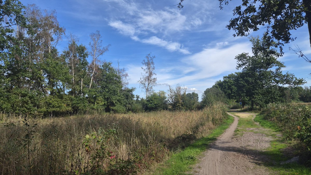 WilsPeter216641's tweet photo. ##vrtweer Hasselt 13.40
Mooie wandeling in vijvergebied https://t.co/EygECw4Rre