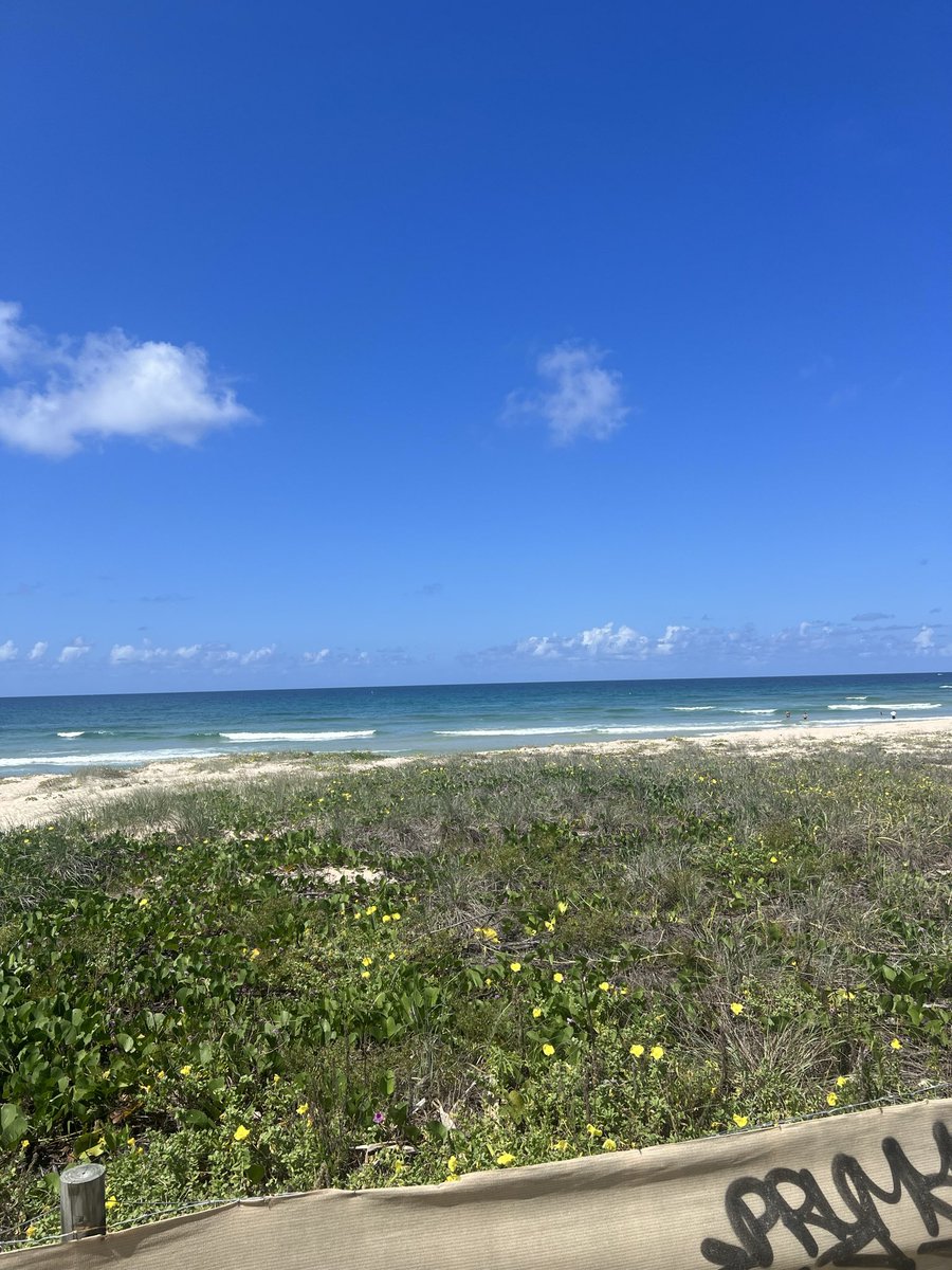 dickohico's tweet photo. Just was reflecting on a beautiful trip I went with the missus, Ross and Goldy up to the Gold Coast last year. Couldn’t think of anything better right now with the shit weather in Adelaide currently. Keen for another visit soon. Amazing part of the world.

Cheers, Dicko https://t.co/i0XCkIQ90Q