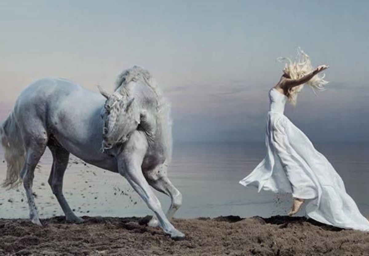 sstuhia's tweet photo. Dany and her silver https://t.co/rgTqZueFEZ