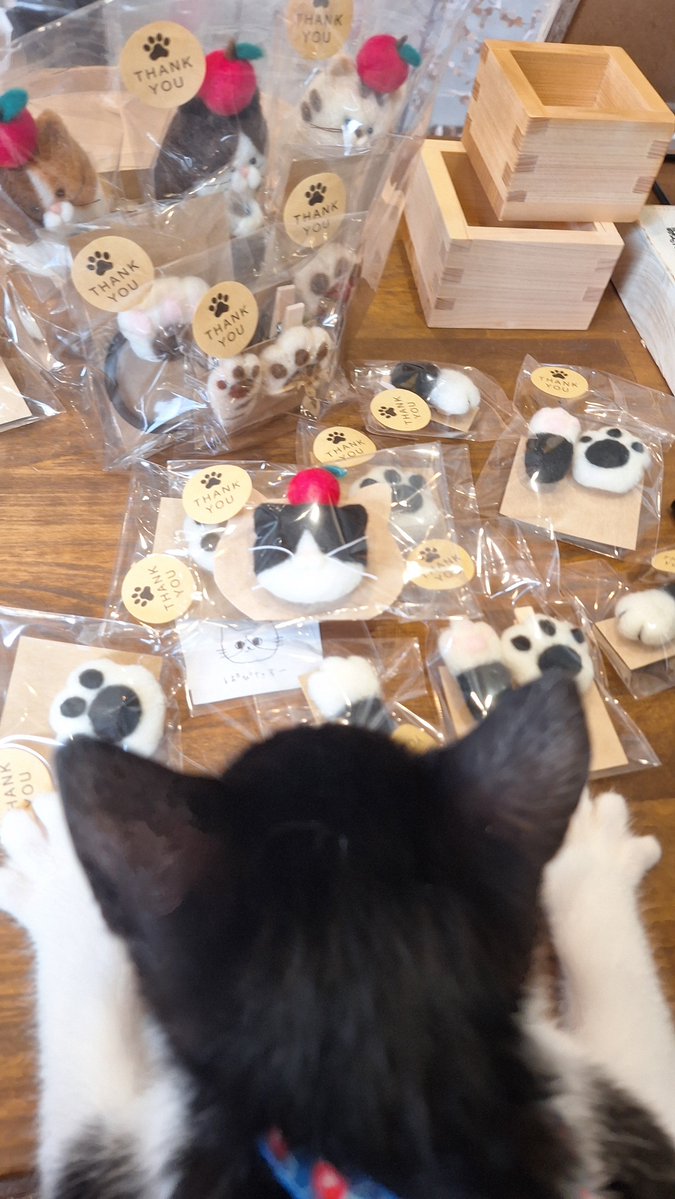 memomi20222's tweet photo. ぼくのグッズの発売日🐈️🎀 https://t.co/xAEfRR1G00