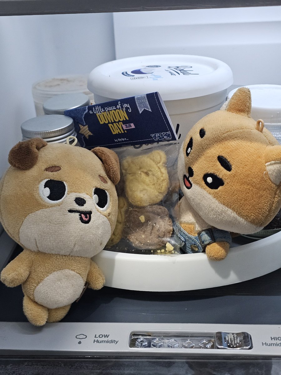 kkumiharu's tweet photo. Ikut menerima hasil proyek-gemesnya si @deixikseu 

Lucu bingitts, cookiesnya jd rebutan kkekumi sm don😂🤭 https://t.co/A7LUDTkZfY