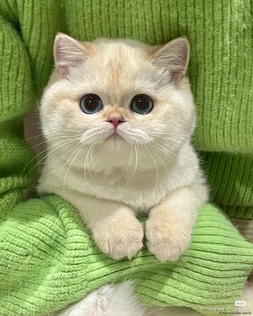 AnhBapF's tweet photo. Tối nay chọn bình yên. https://t.co/qMVfSAekLk