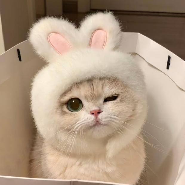 KhanhNhimD's tweet photo. Gió hôm nay rất chill. https://t.co/npqiiBgr6e