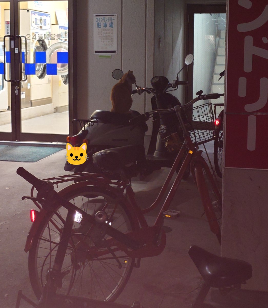 sig_1818's tweet photo. そこあったかいのかな？ https://t.co/ChQk3CpTtl