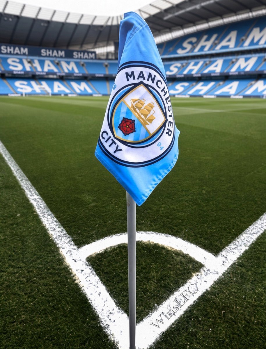 WinsLFC's tweet photo. Like this tweet if you want Manchester City to lose their appeal against the Premier League ❌

Get fined, 115 points deducted, and relegated to league 2. https://t.co/9zBVDj81CJ