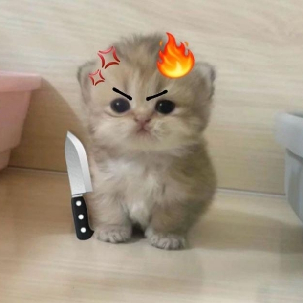 KieuaoW's tweet photo. Hạnh phúc có ở khắp nơi. https://t.co/CKj24SeJY8
