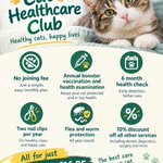 Photo by young veterinary (@youngveterinary)