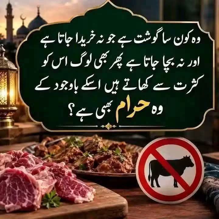 ShifaKhanz's tweet photo. جواب لازمی دیں https://t.co/tfEwRYWPpa