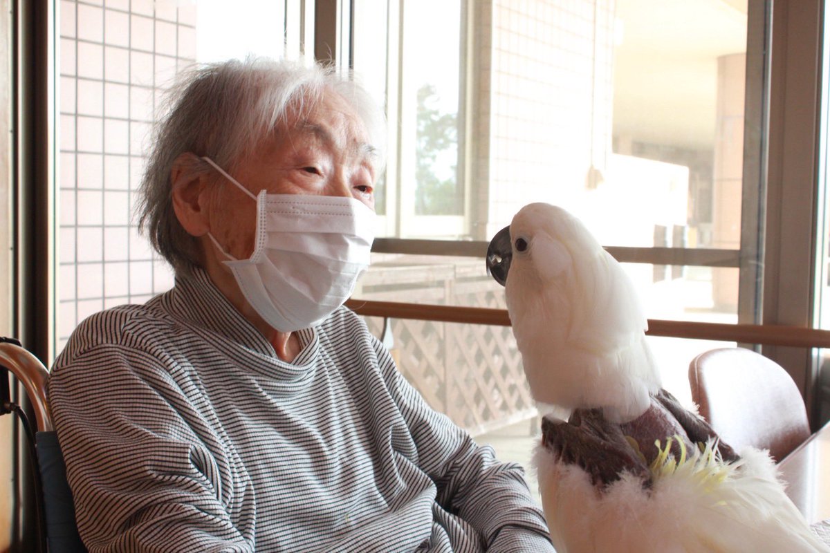 MAX_BEN_P's tweet photo. ホワと元親おばぁちゃん♡

今日も私とチビ太の事は忘れていましたが、ホワの事だけはシッカリ憶えていました。

「大事にしてね！」と帰り際に何度も言われ、どんなに離れていても元親おばぁちゃんにとってホワは1番大切な存在なのだと改めて思いました。
103歳と70歳の愛情は永遠です🥰 https://t.co/5c6gPRzhua