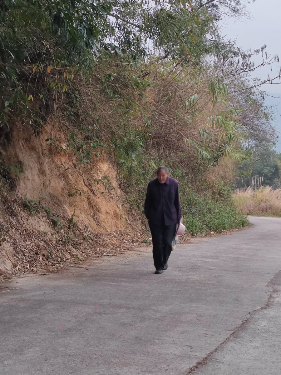 kaylablack7955's tweet photo. The old man jogging slowly around the bean field with a limp, looking so laid-back and cozy.， https://t.co/GFntYTI386