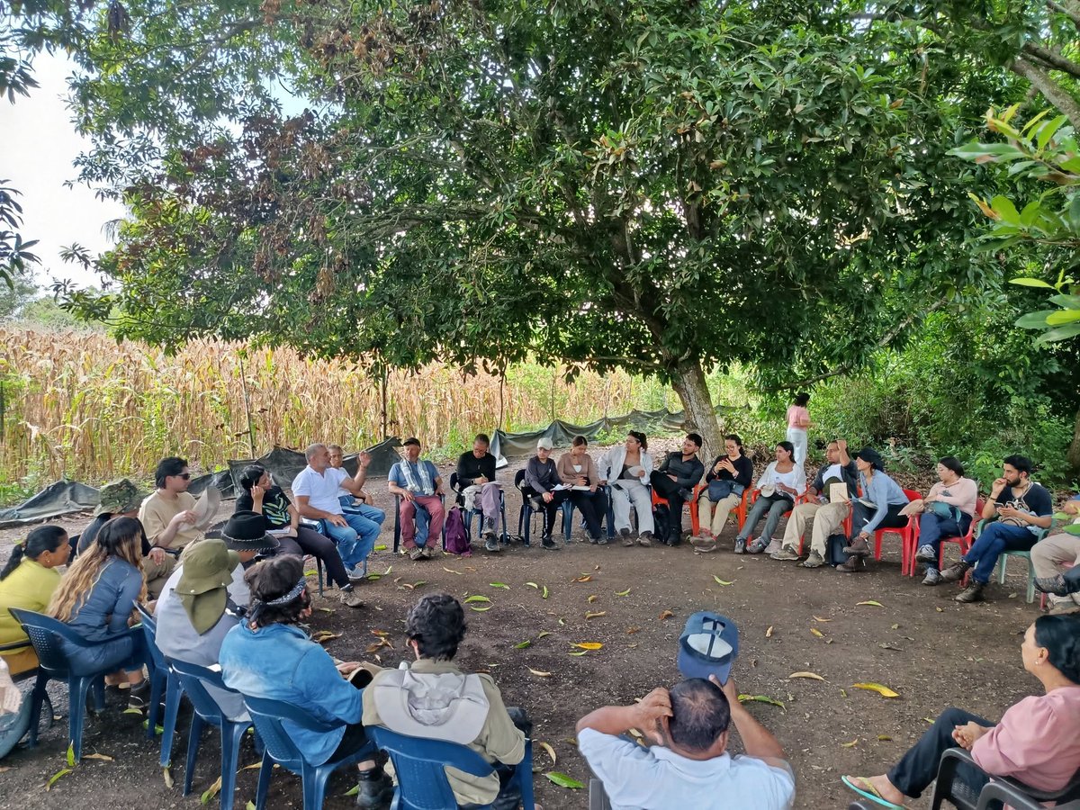JJLN0468's tweet photo. Seguimos multiplicando la palabra con nuestro concepto de desarrollo basado en la estética, el conocimiento situado y la biodiversidad, teniendo el #ABIF como estructura fractal de restauración socioecológica. En esta ocasión con estudiantes de ingeniería forestal de la @unidistrital