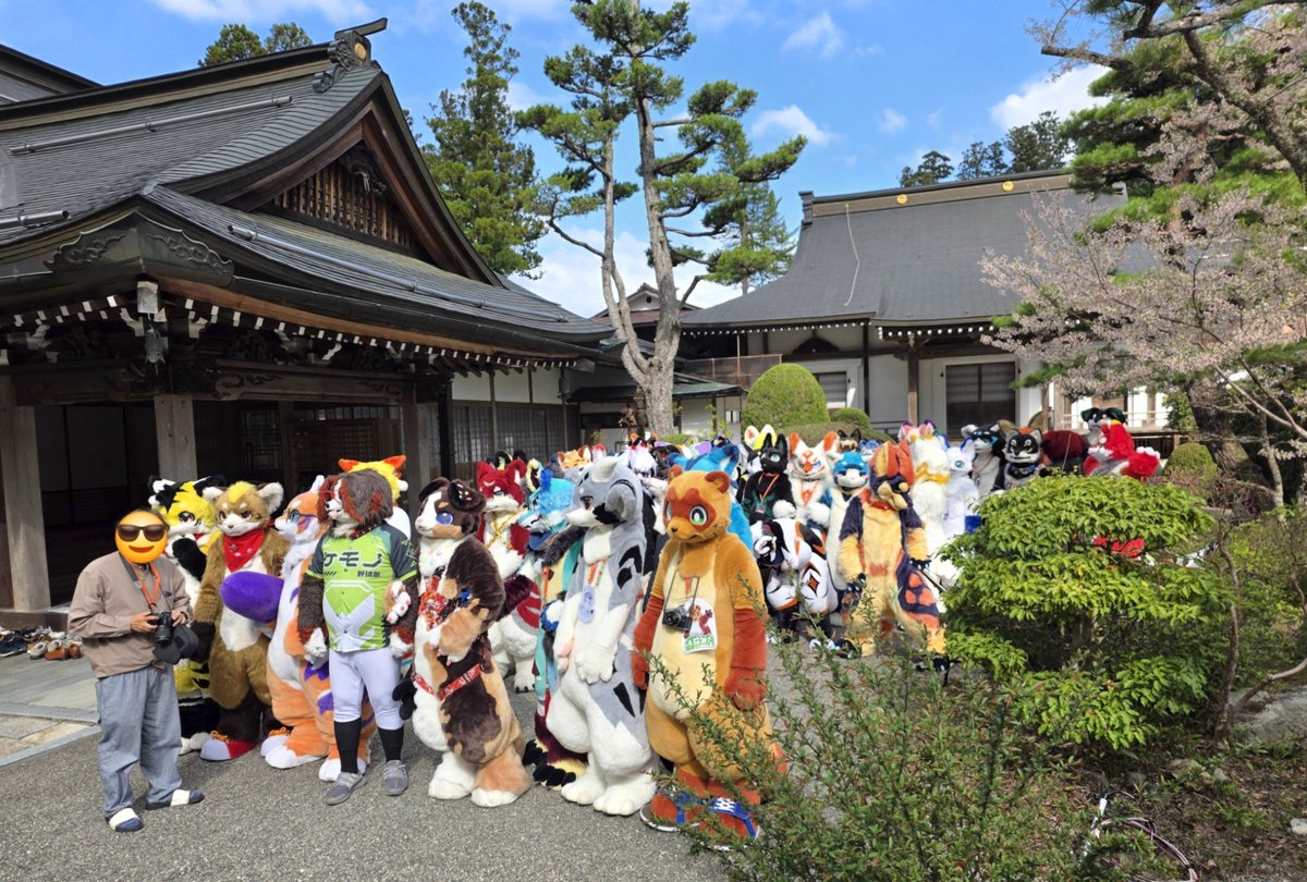 oppekemonar's tweet photo. 11月7日、当日参加枠あります！
参加希望のかたは、おっぺけまで🐈‍⬛ ͗
#寺もふ https://t.co/XMK1QuY93D