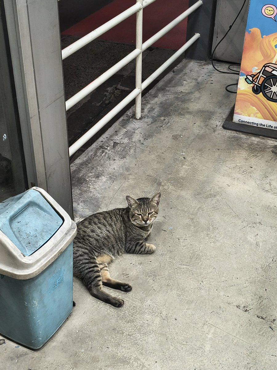 mastermlind's tweet photo. Tolong dibenahi @PT_Transjakarta petugasnya jutek bgt 😾😾😾 https://t.co/L0sOEhpqRV