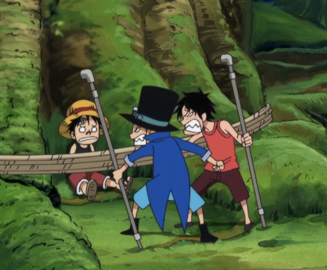 beateaterr's tweet photo. what they don’t warn u about prior to getting into one piece is that if u have siblings u will feel gut wrenching pain every other arc https://t.co/0CjgthoRpj
