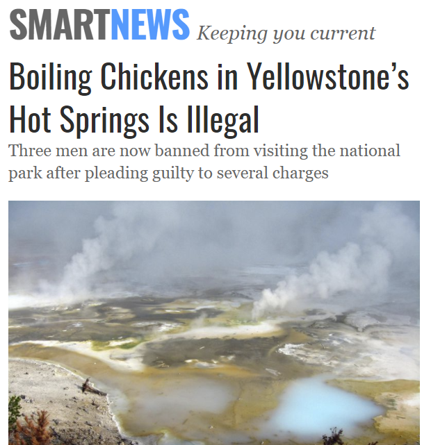 ObviousRises's tweet photo. I used to believe the United States of America was a free country but then I see Tyranny like this, if a man cannot boil chicken in Yellowstone's hot springs then WHAT'S THE POINT OF EVEN LIVING IN AMERICA.

Free country my ass. https://t.co/raOXUS7R9N