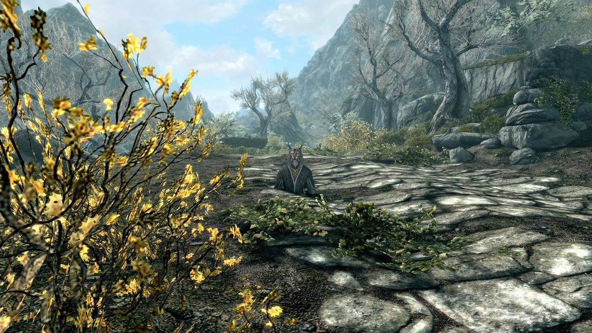 jumpyplayer's tweet photo. リサードさんが通りがかるという映像を撮りたくなって通りがかるのを待ったのですが、いつまでも来ないので様子を見に行ったら埋まってた https://t.co/P8h7Sbv4Xo