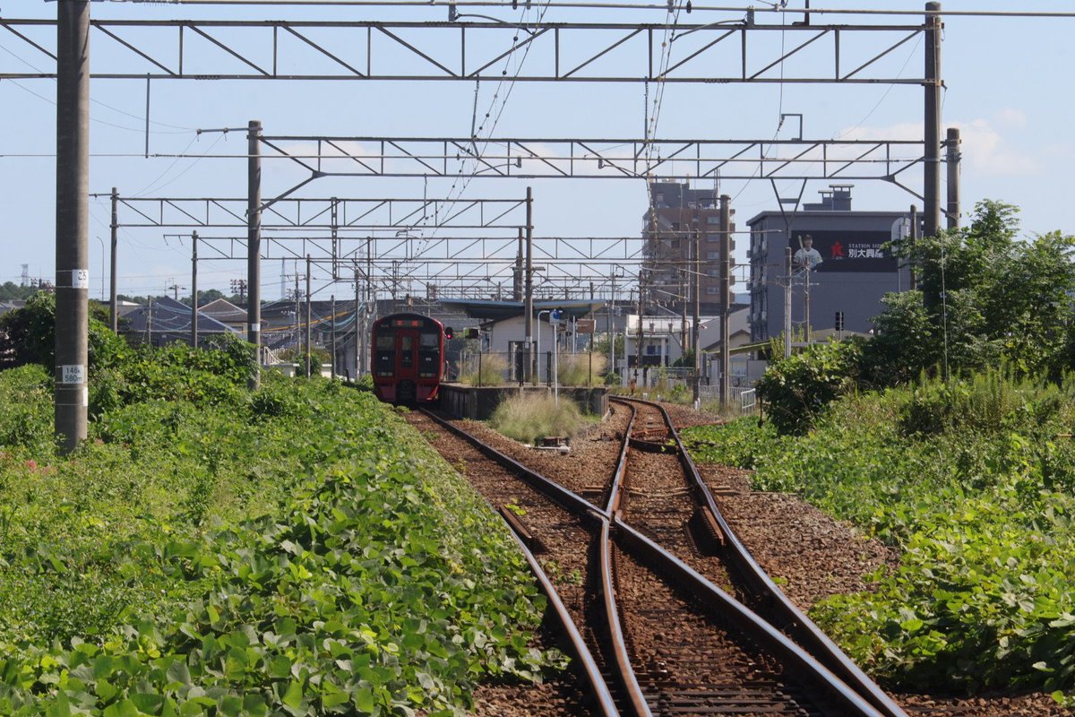 jikko680687's tweet photo. 【今日の787系】2026/10/2(Fri)
5006M特急にちりん6号 宮崎空港7:45発 大分行き(大分11:10着)
787系 BO6101編成(分オイ) ※営業車検測装置搭載車両

#787系 #BO6101 #大分車両センター #日豊本線 #大在駅 #坂ノ市駅 https://t.co/QV1ujQXGtm