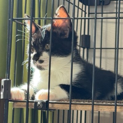 Gamu6632's tweet photo. #新しいプロフィール画像
なんだか気分で変えてみました☺️ https://t.co/JekfOxazOO