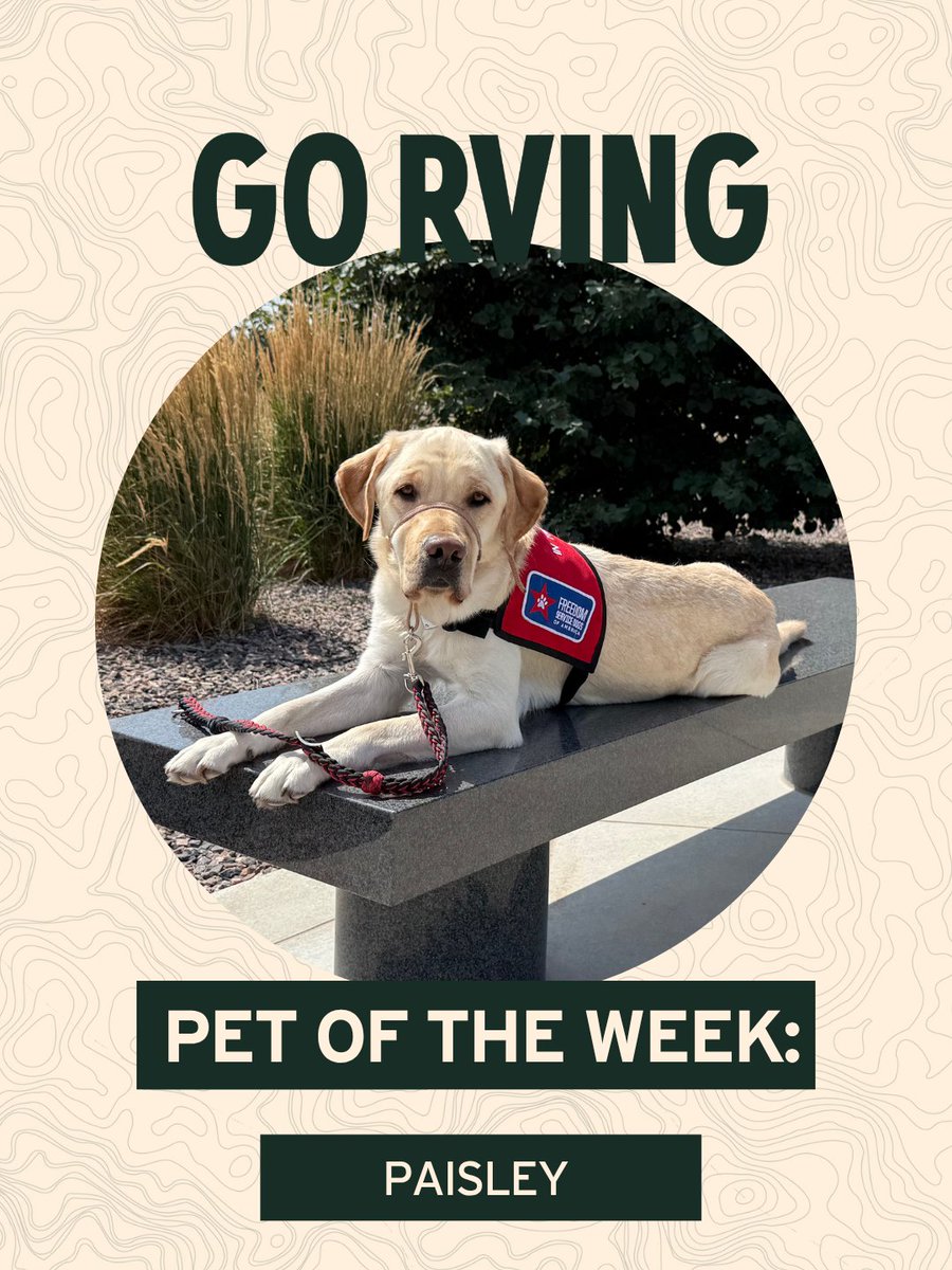 GoRVing's tweet photo. Meet Paisley, our #PetOfTheWeek! 🐾 Trained by Freedom Service Dogs, she now supports her handler in Yuma, AZ, exploring the Grand Canyon and beyond! https://t.co/Q0oPnh1AF4