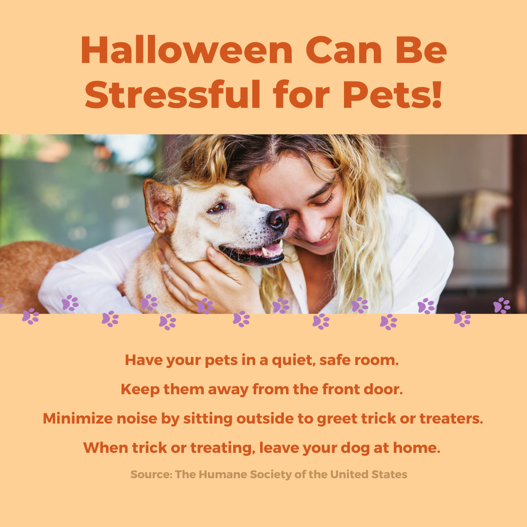 NJ_Insurance's tweet photo. How do you and your pets celebrate Halloween? #AllenAllenInsuranceAgency

Visit our website at https://t.co/xdhn3ez2MB https://t.co/kjz0L9qdTR