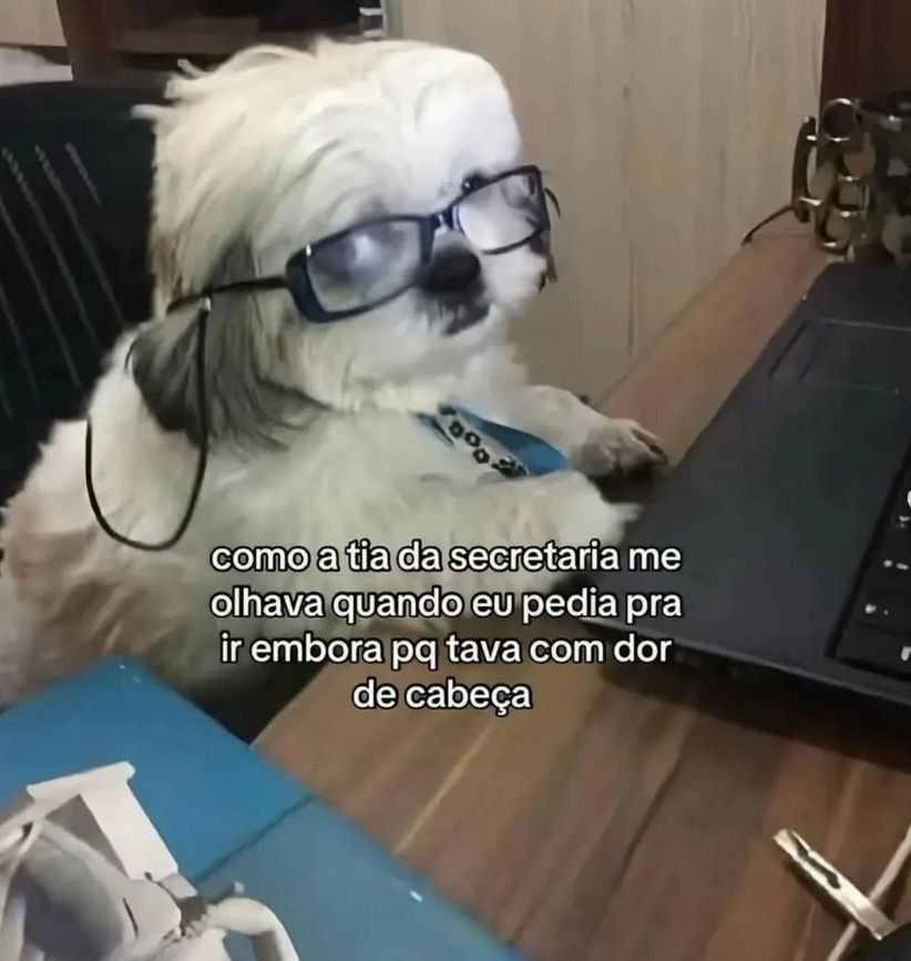5gramasdememes's tweet photo. 😊 https://t.co/AeoQmBktuo