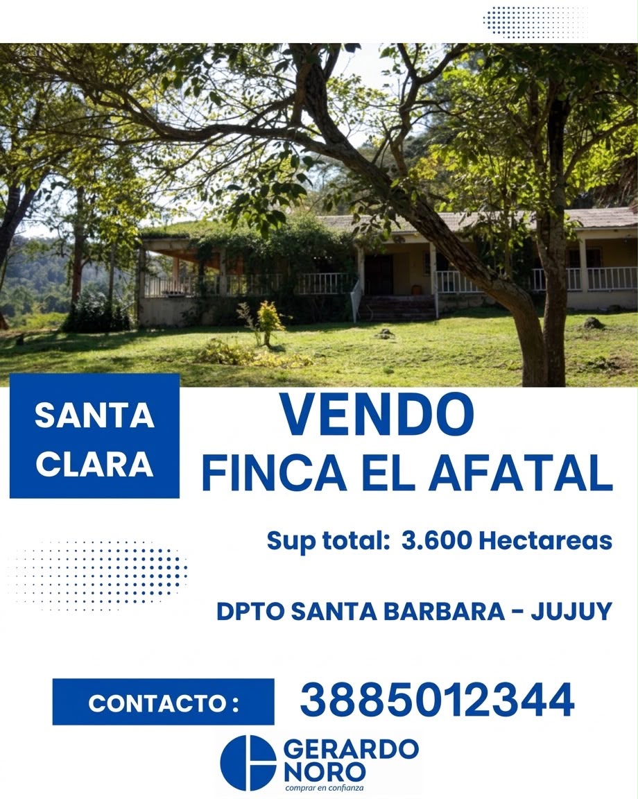 GerardoNoro's tweet photo. "¡#OPORTUNIDAD ÚNICA EN JUJUY!" 

FINCA MULTIPRODUCTIVA 'EL AFATAL' – 3.500 HA

Ubicada a solo 2 km de Santa Clara, sobre la RP Nº 6, se vende una de las propiedades rurales más completas de Santa Barbara. 

Consultas al 3885012344 https://t.co/WRkE2t1WUV