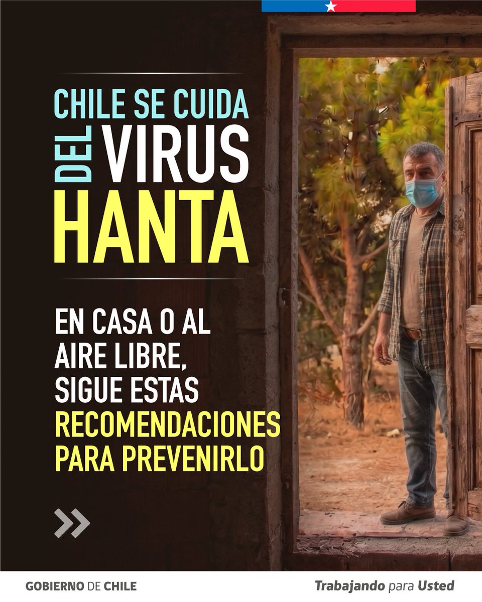 Salud_Responde's tweet photo. 🐭⚠️ ¡Prevengamos el Hanta!
🧤 Usa guantes y mascarilla.
🌬️ Ventila por 30 minutos antes de ingresar a lugares cerrados.
🏠 Mantén casas, bodegas y patios limpios y libres de maleza.
🥫 Guarda alimentos y agua en recipientes herméticos.

📞 Salud Responde 600 360 7777 https://t.co/yQrCdgqkiP