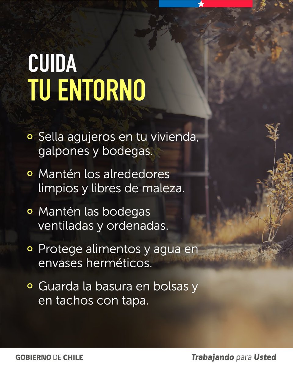Salud_Responde's tweet photo. 🐭⚠️ ¡Prevengamos el Hanta!
🧤 Usa guantes y mascarilla.
🌬️ Ventila por 30 minutos antes de ingresar a lugares cerrados.
🏠 Mantén casas, bodegas y patios limpios y libres de maleza.
🥫 Guarda alimentos y agua en recipientes herméticos.

📞 Salud Responde 600 360 7777 https://t.co/yQrCdgqkiP